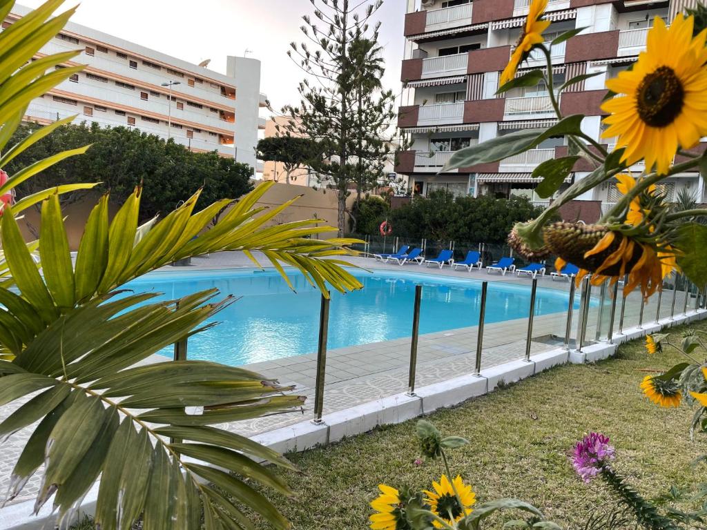 Apartment near Yumbo and Cita - 5