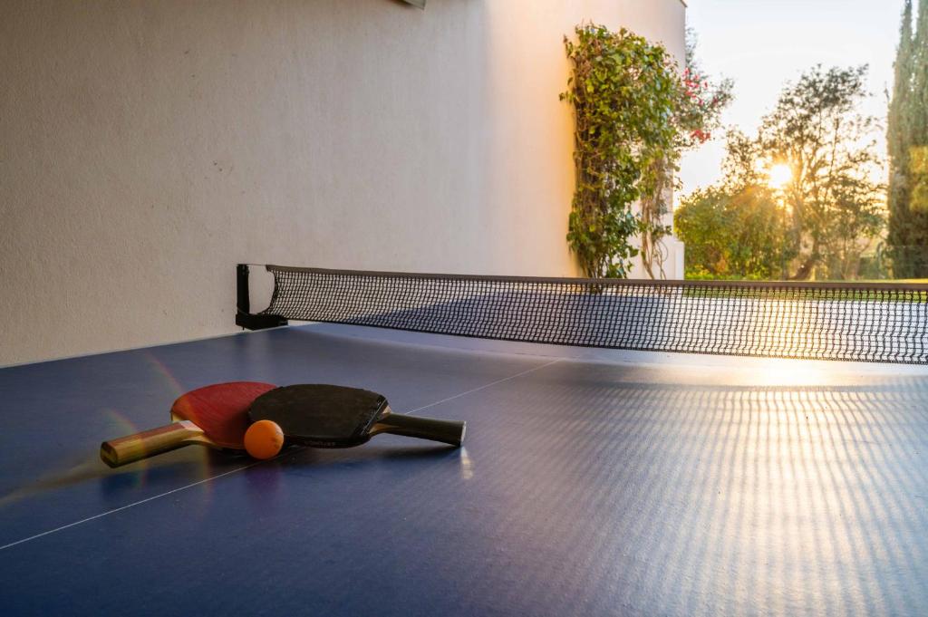 Sports and activities