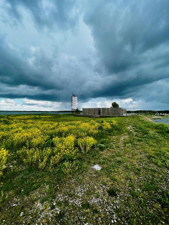 Seaside Apartments, Kõiguste