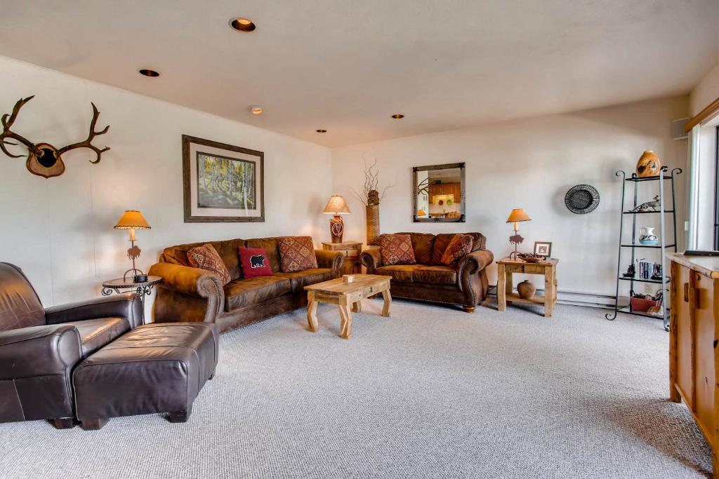 3 Br Unit With Fireplace & Mountain Views Condo, Crested Butte
