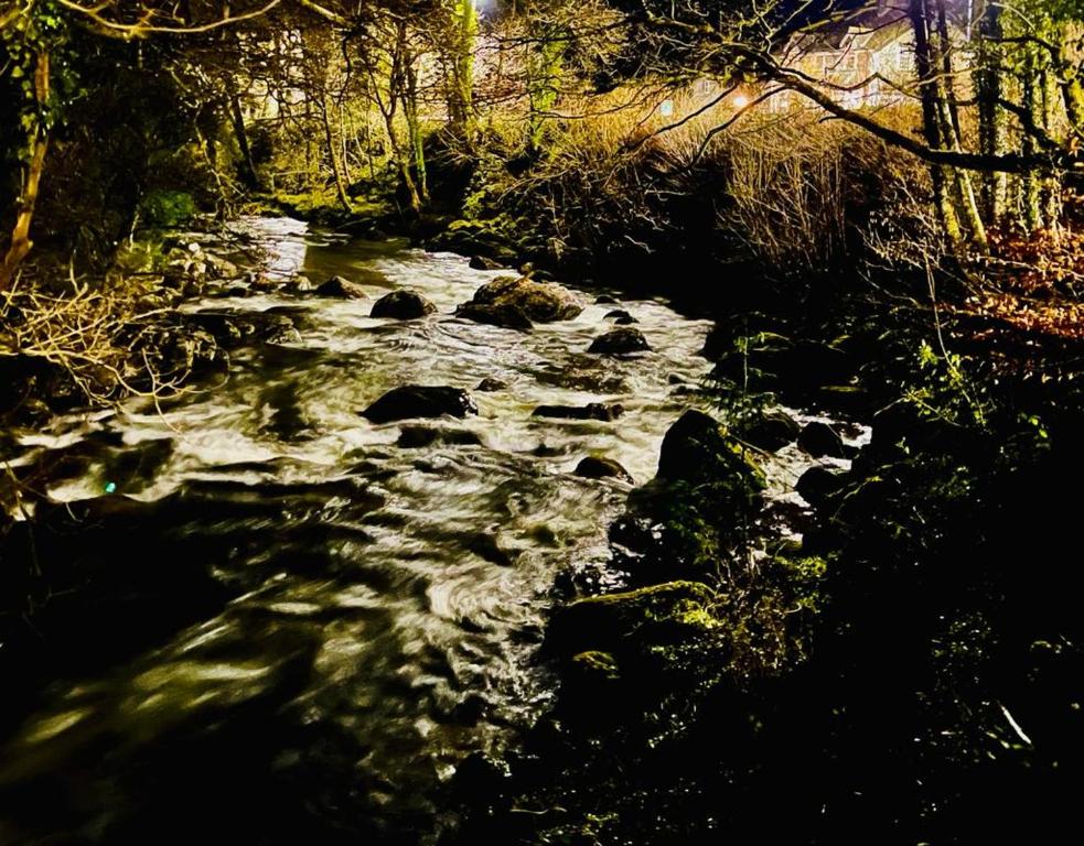 周辺観光スポット