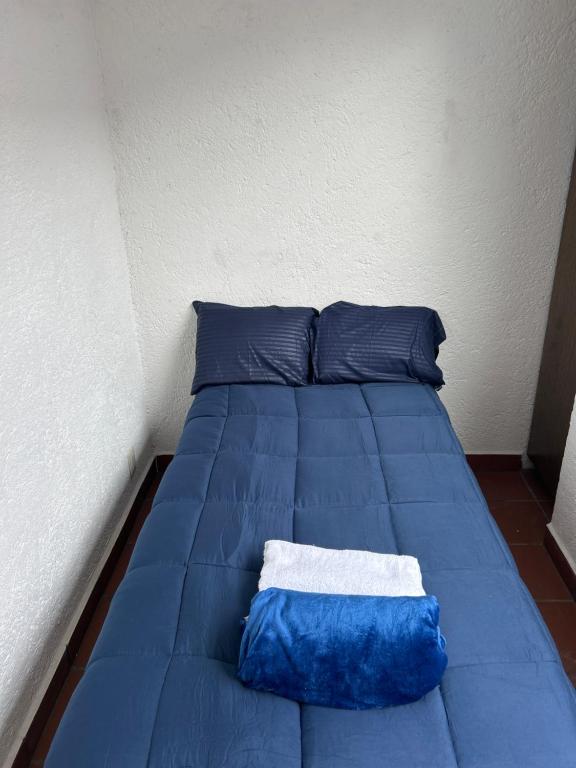 Casa Frida Coyoacan - 2