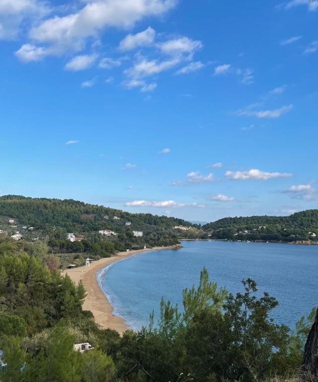 Villas Alexandra Skiathos photo