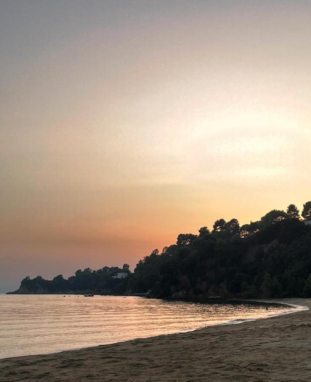 Villas Alexandra Skiathos photo