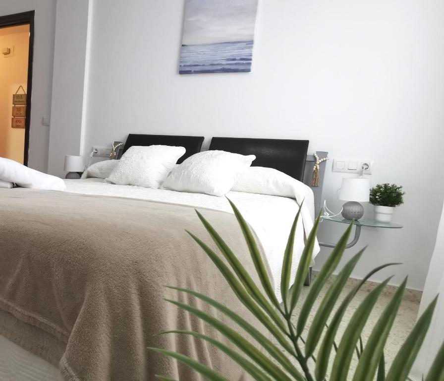 Apartamento Pirrado - 1