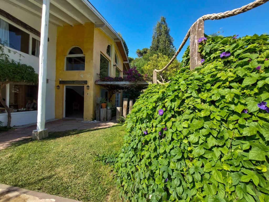 África Posada - 3