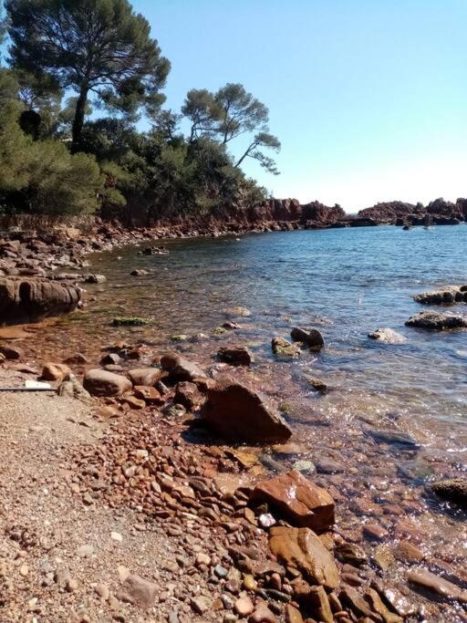Les Orangers de Santa Lucia, vue mer et port, St Raphaël - 3