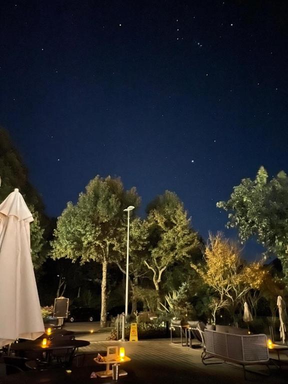 المنطقة المحيطة