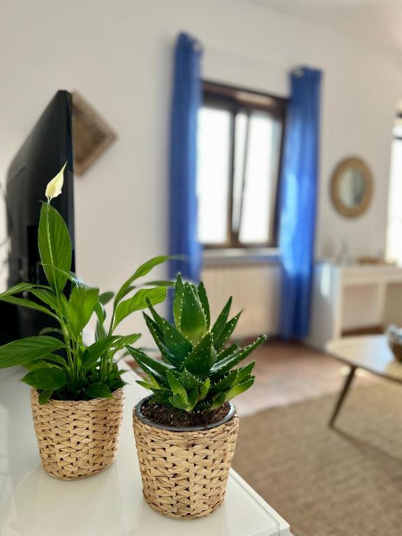 Sea Breeze House - 5