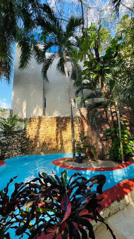 Hotel B&B - Playa del carmen - 5