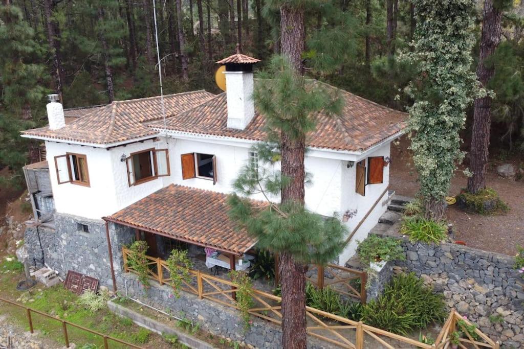 Floral garden house - 4