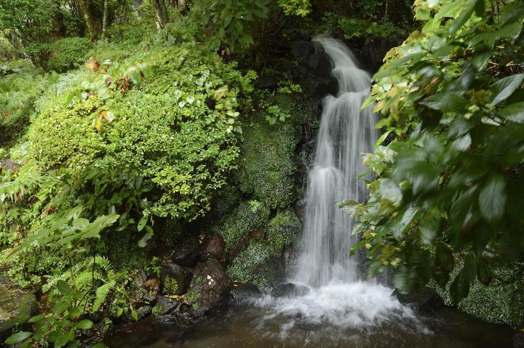 Attrezzature e servizi