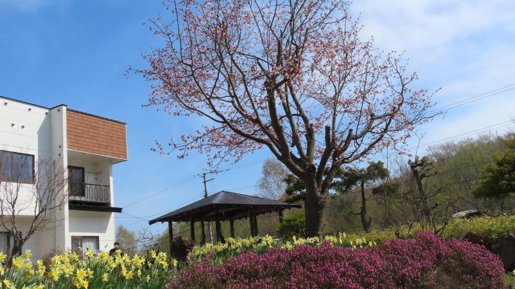 Coro Coro 호텔 이미지 1