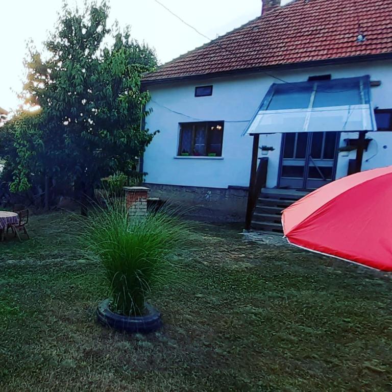 Stefanovića kuća, Babušnica