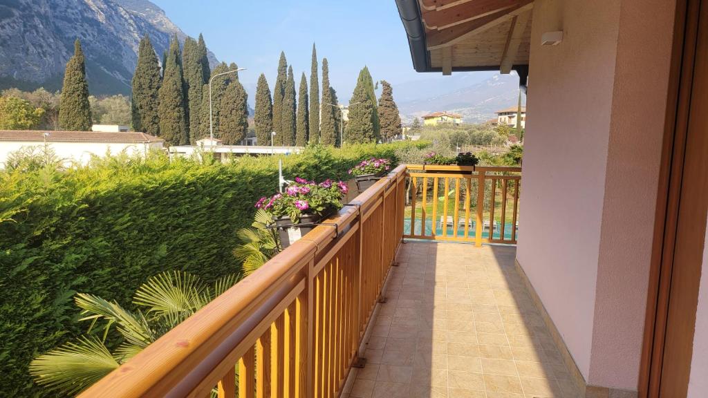 Agriturismo Vin e Amor photo