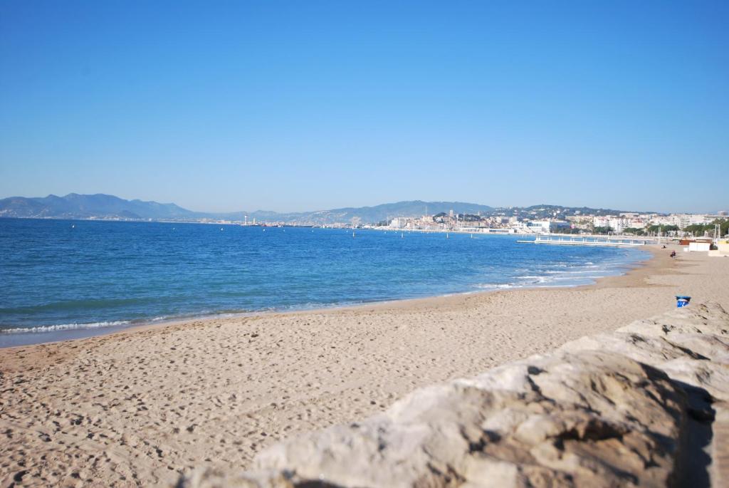 Le Vieux Port Apartments photo