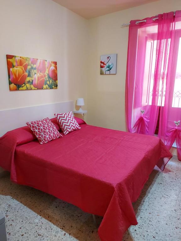 AL 25 TULIPANI - 3