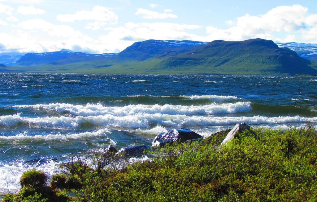 Surrounding environment