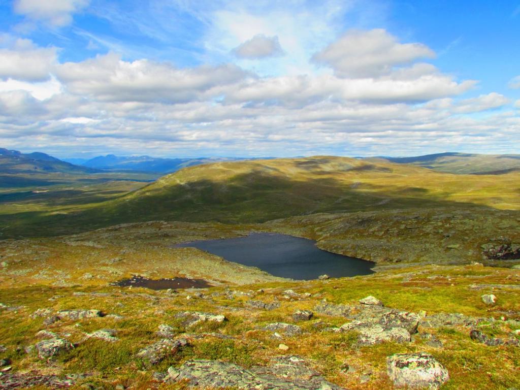 Surrounding environment