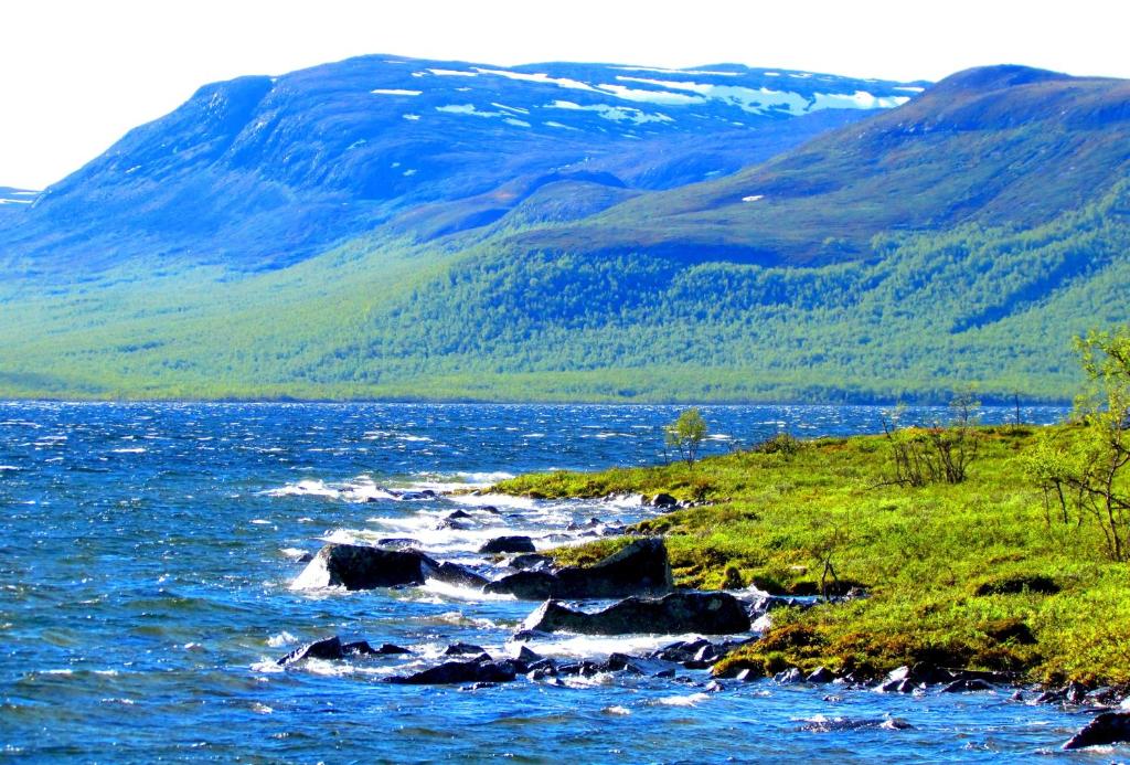 Surrounding environment