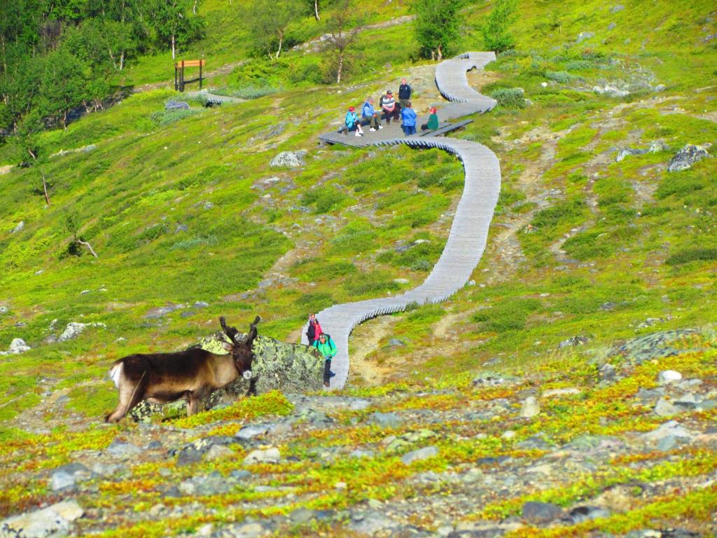 Surrounding environment