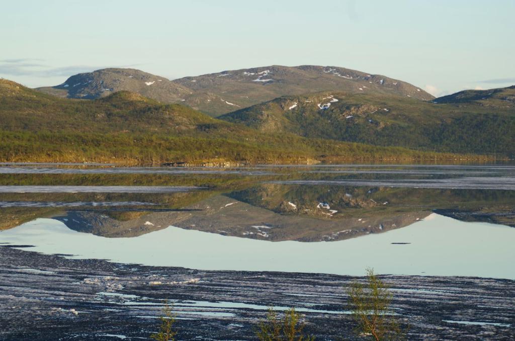 Surrounding environment