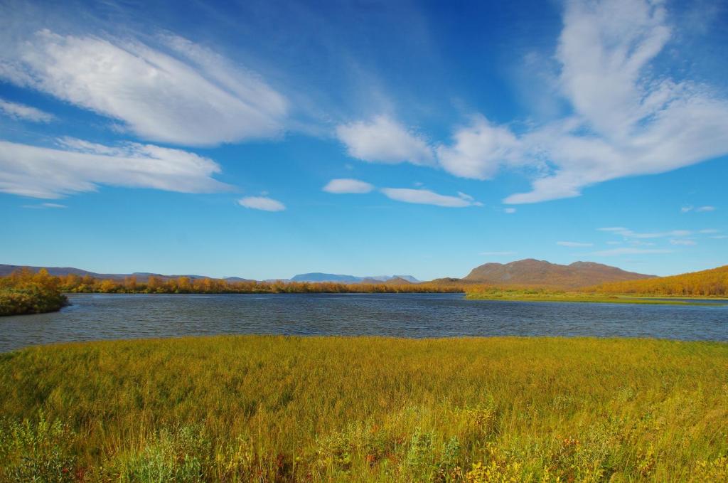 Surrounding environment
