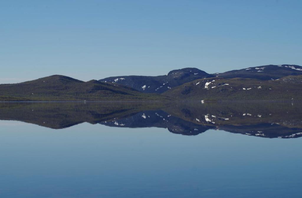 Surrounding environment