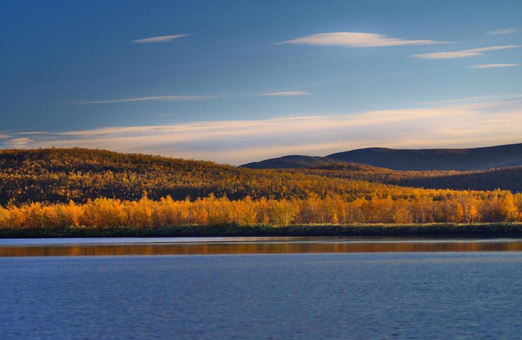 Surrounding environment