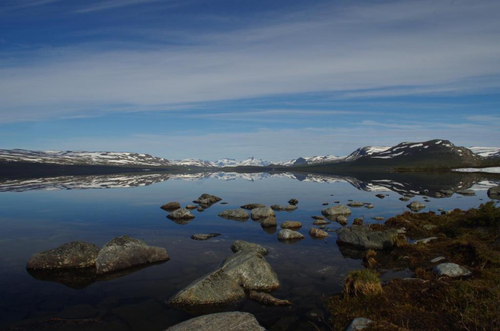 Surrounding environment