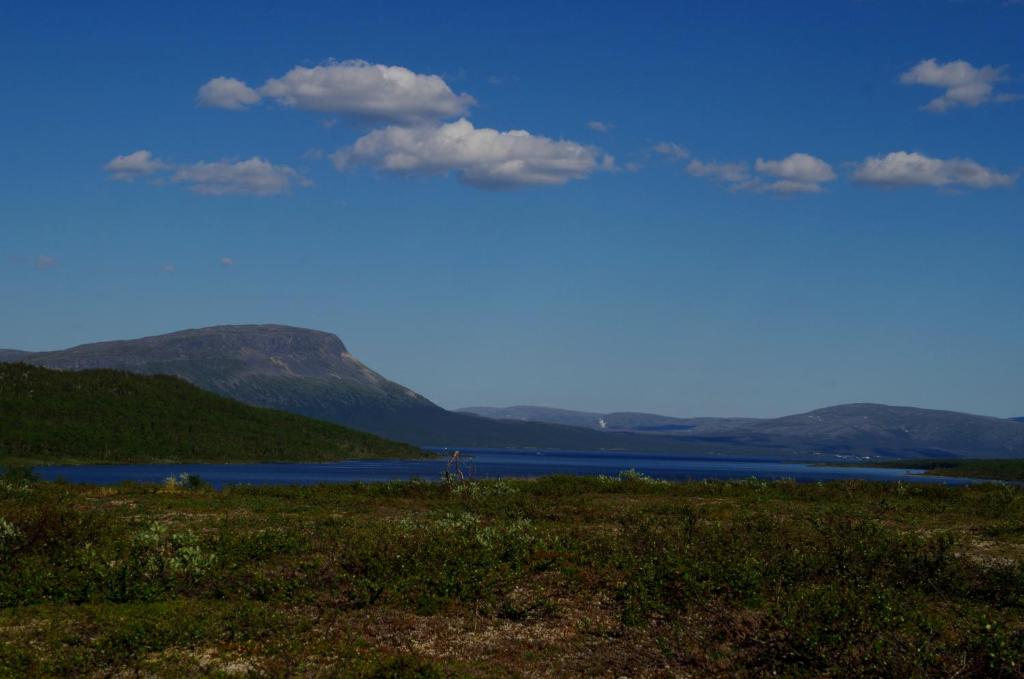 Surrounding environment