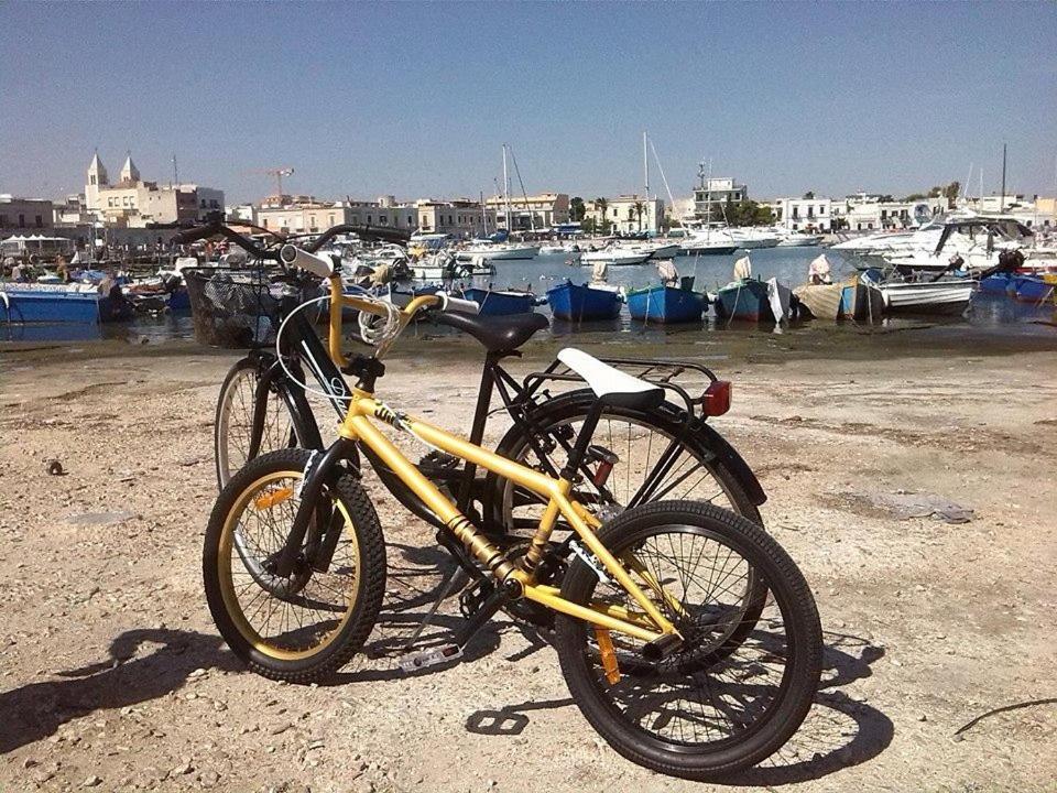 Sports and activities