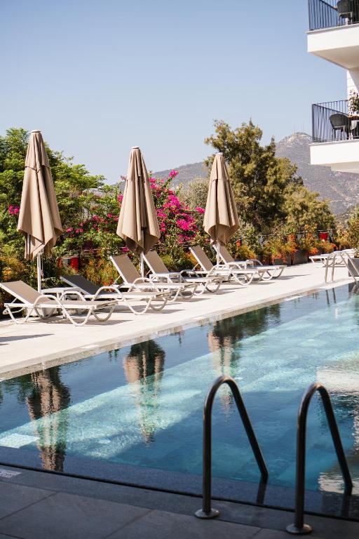 スイミングプール