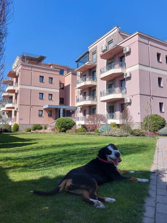 Apartmani IVANA - 3