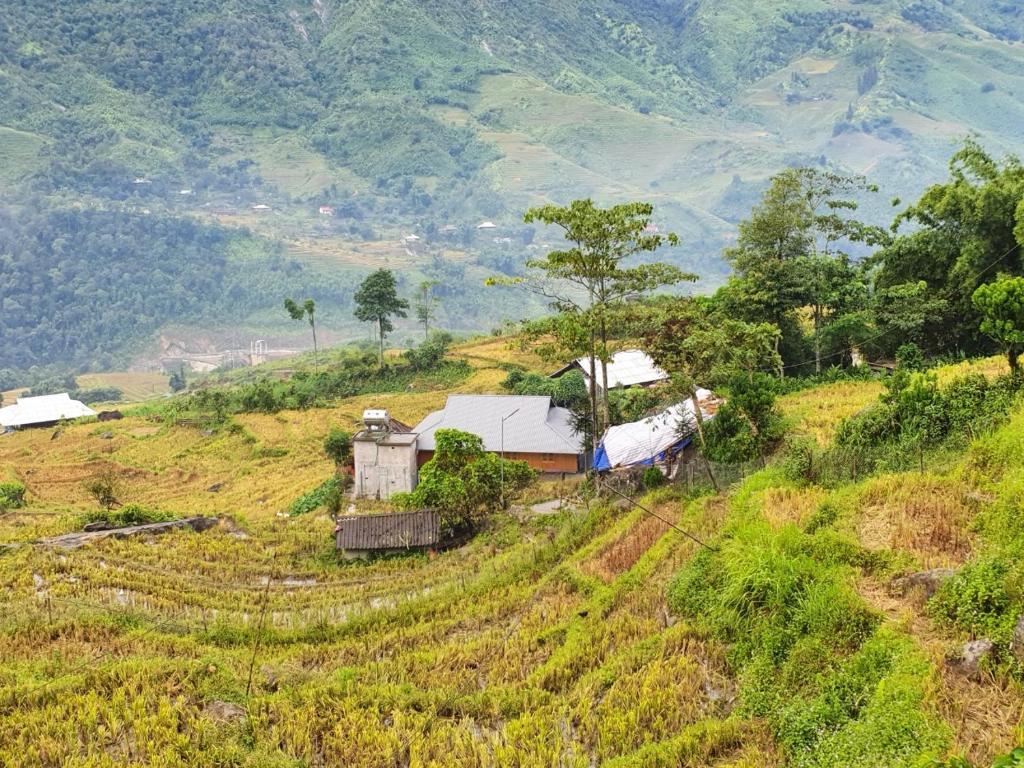 Sapa Mushroom Homestay photo