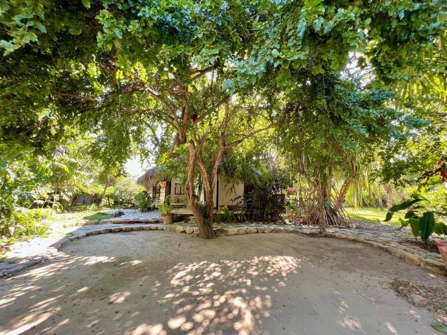 Casa KUUL, elegant fusion of house and garden. - 5