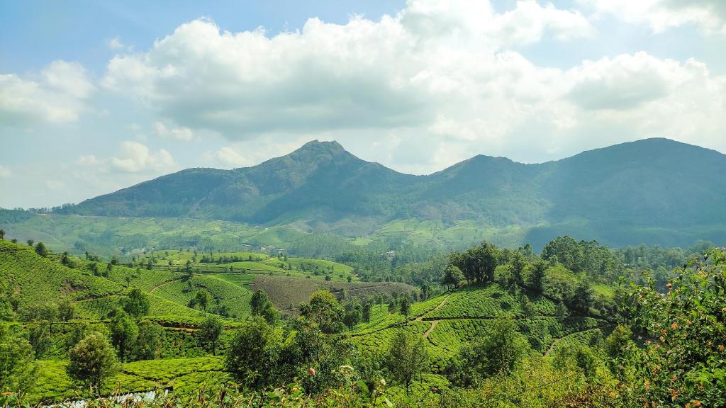 Munnar valley view annex photo