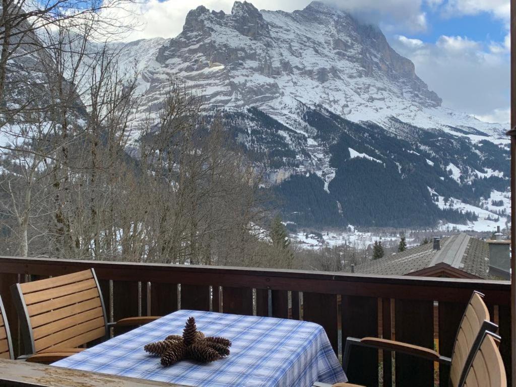 Grindelwald-Sunneblick - 2