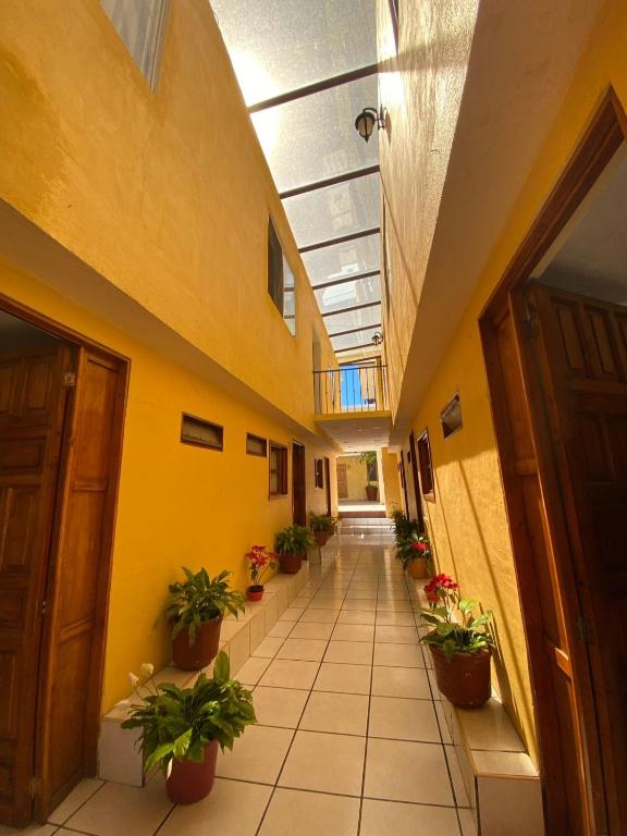 HOTEL CAMELINAS AREA BLANCA photo