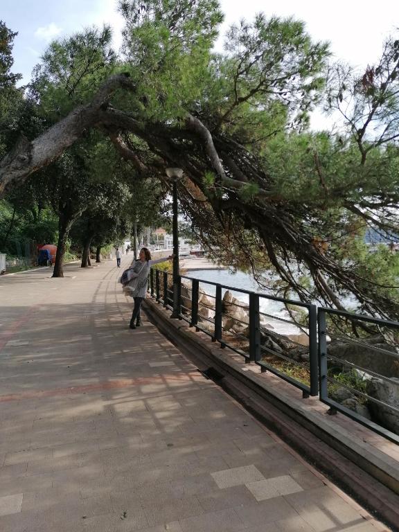 PLAVOBELA KUĆA SA MAGIČNIM POGLEDOM NA MORE - 3