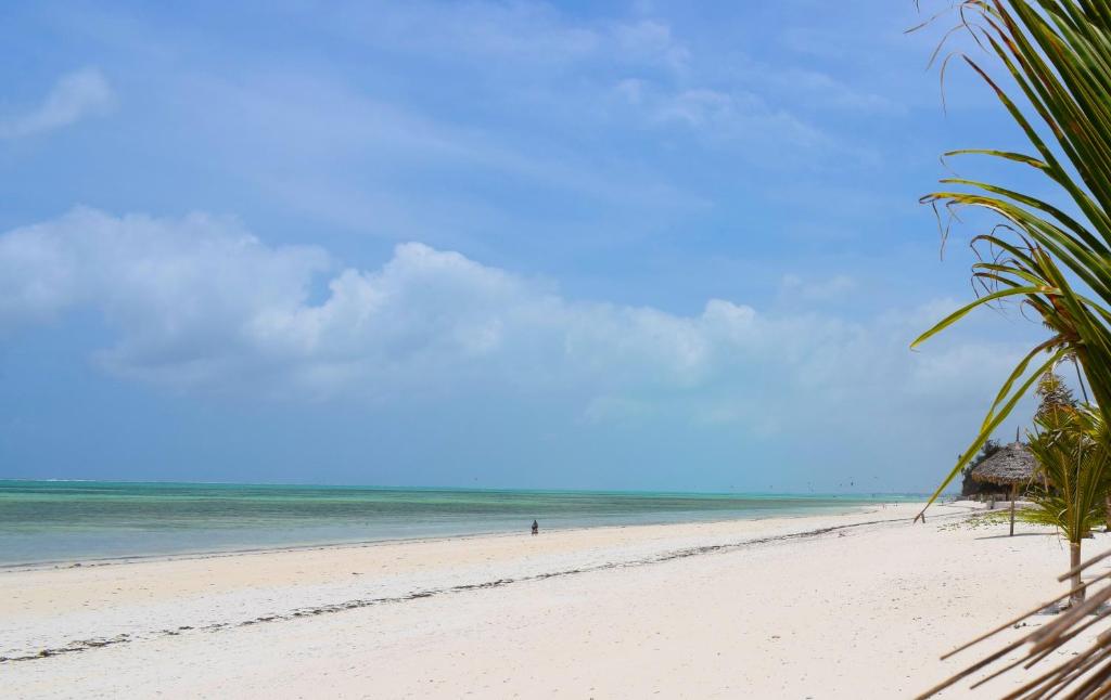 Zanzibar Dream Lodge photo
