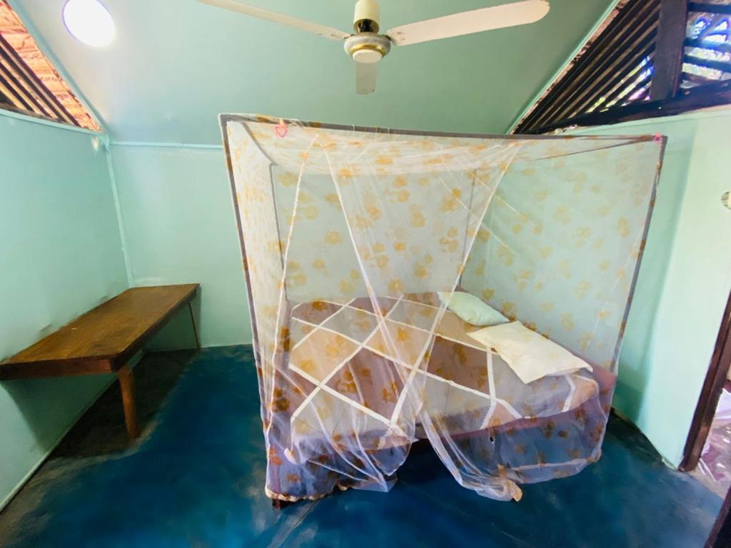 Air Lush Beach Cabanas photo