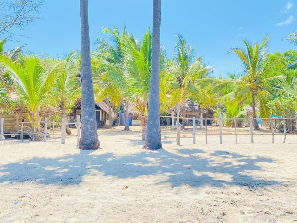 Air Lush Beach Cabanas photo