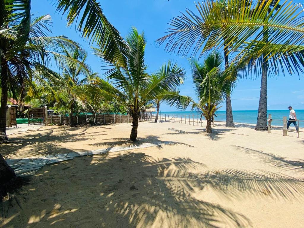 Air Lush Beach Cabanas photo