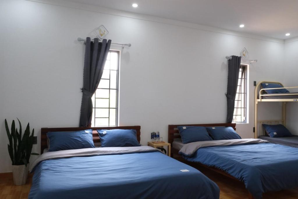 Big Măng Đen Hostel