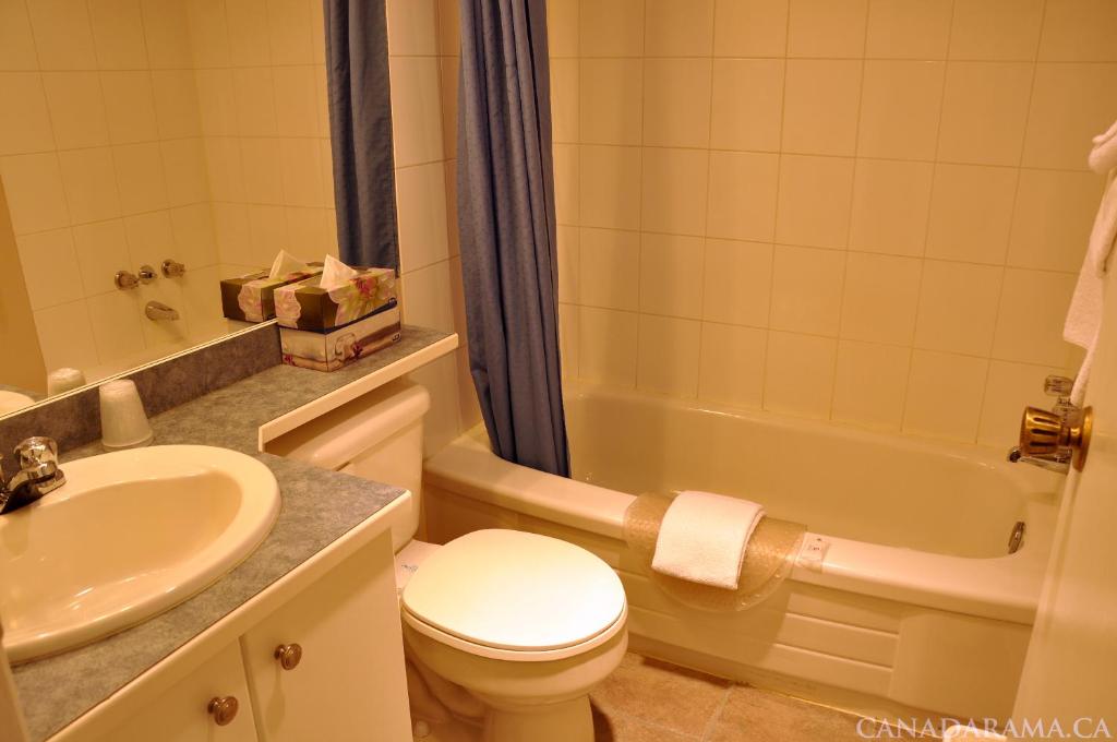 Rosedale Motel photo