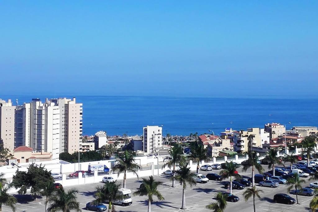 Nid des amoureux Torremolinos - 1