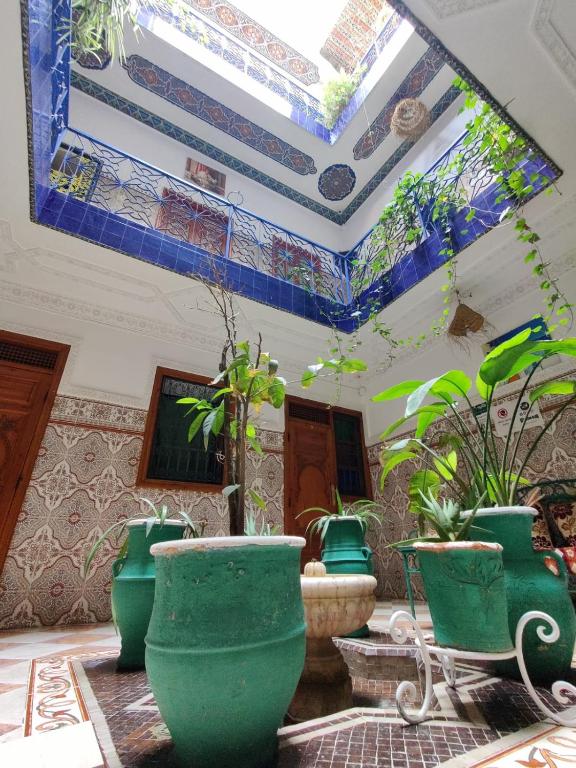 Hotel Medina photo
