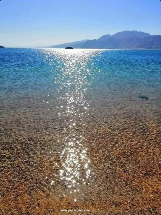 Half Moon - Sunny Dahab resort photo