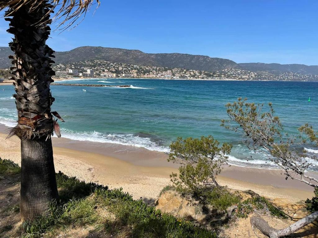 Charmant T2 à Bormes-les-Mimosas, proche plage et commerces, parking inclus, animaux acceptés - FR-1-610-82 - 5